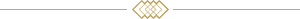 line ornament 300x19 1 2 4